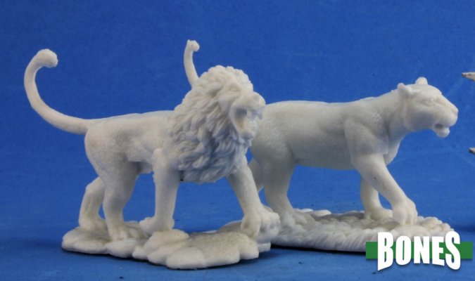 Lions (2)